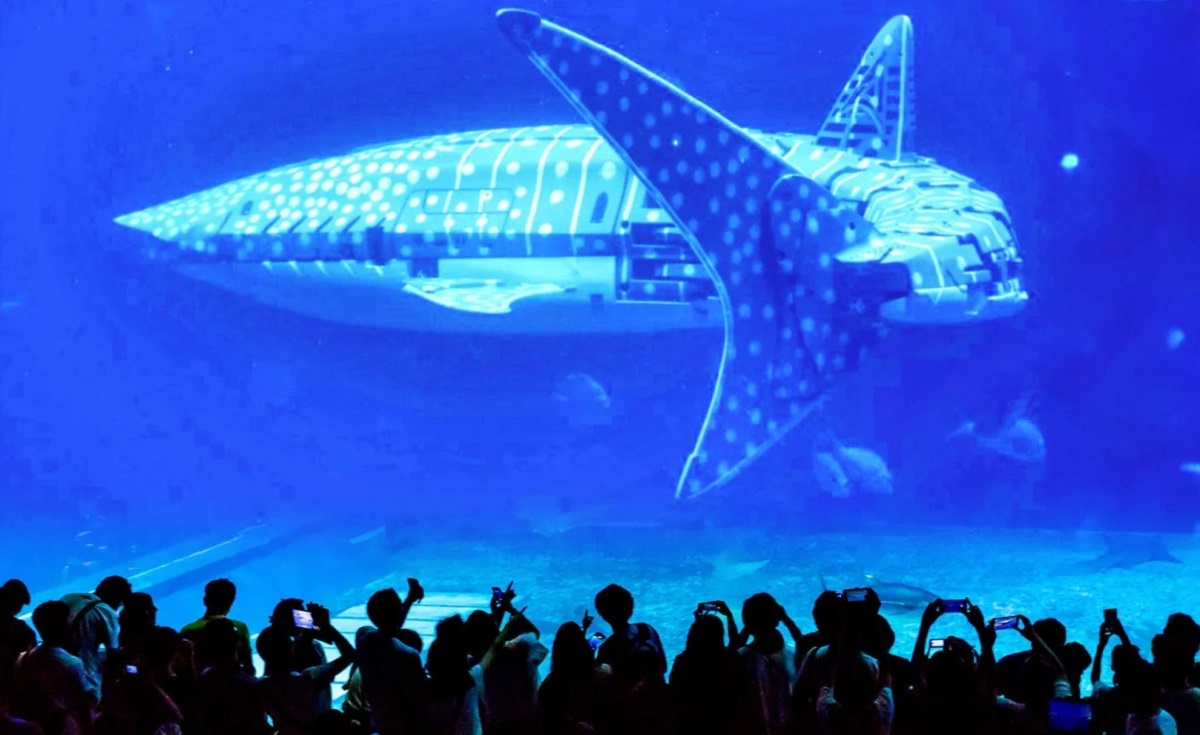 Give us our money back! Visitors to a Chinese oceanarium are outraged to be shown a robotic shark instead of a live sea giant