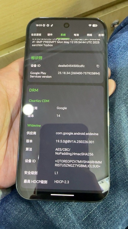 Indicateurs du chipset Google Pixel 10