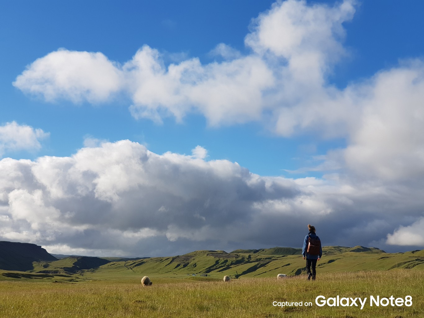 Galaxy-Note-8-official-sample-telephoto-lens-3.jpg