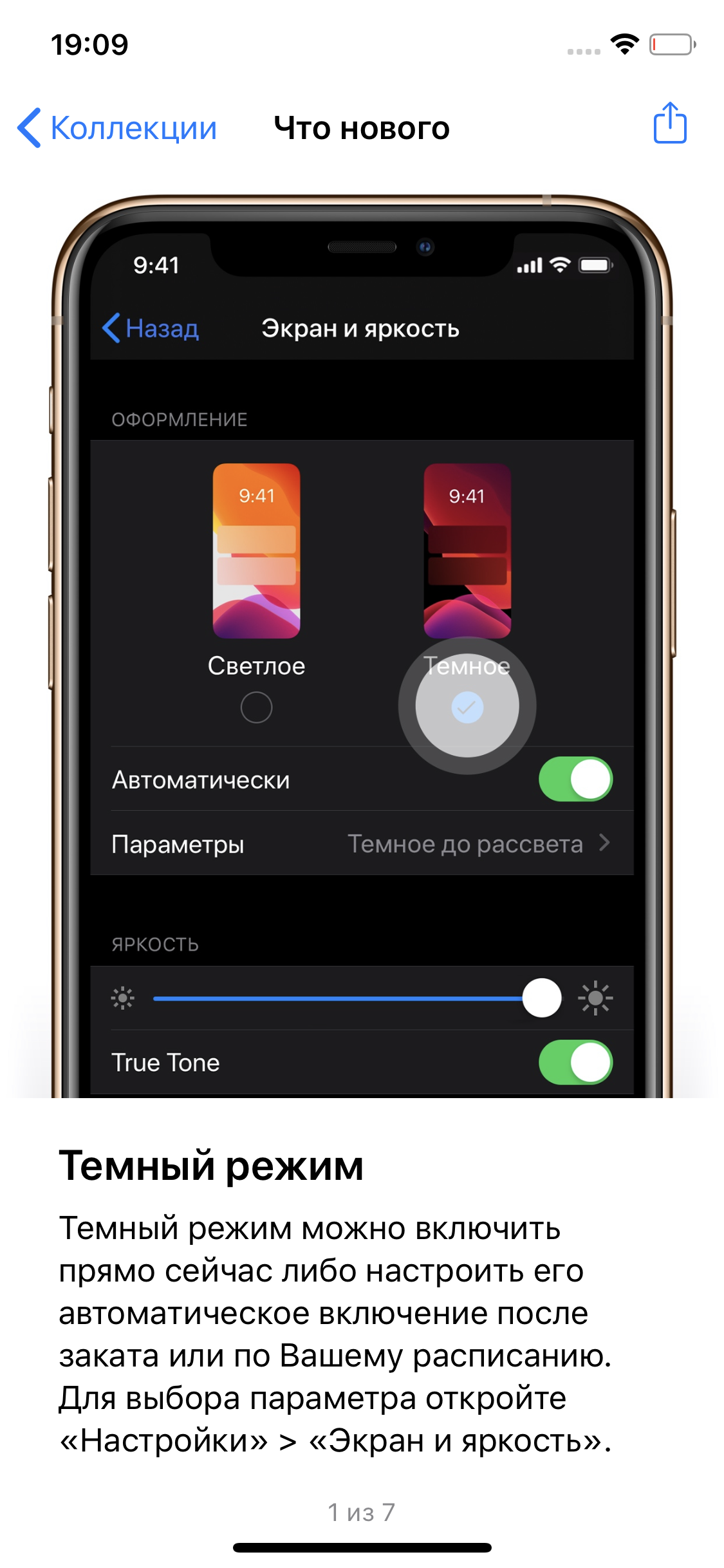 Обзор iPhone 11 Pro: 11 друзей профессионала-25