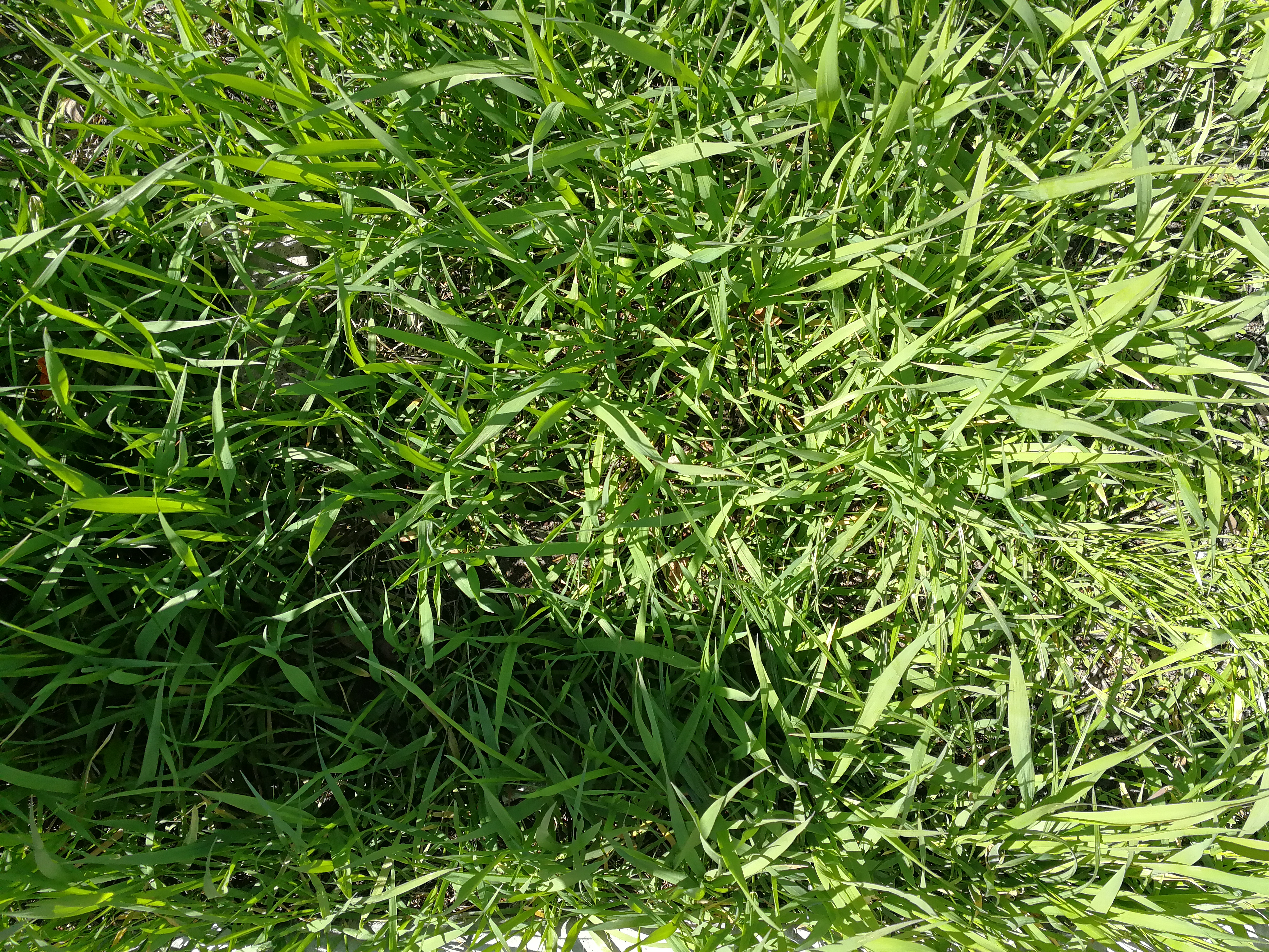 IMG_20170421_125107.jpg