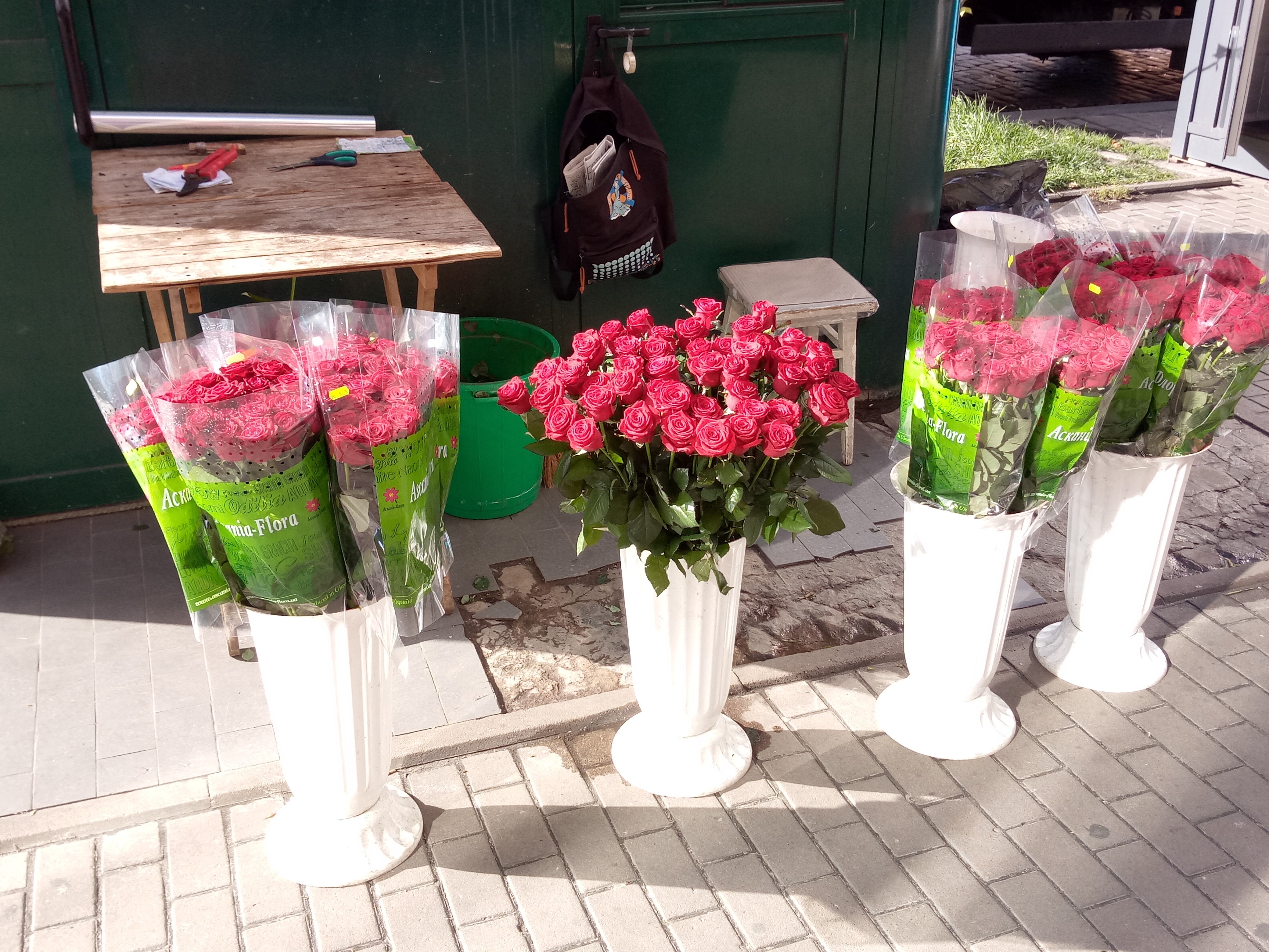 IMG_20171013_141202.jpg