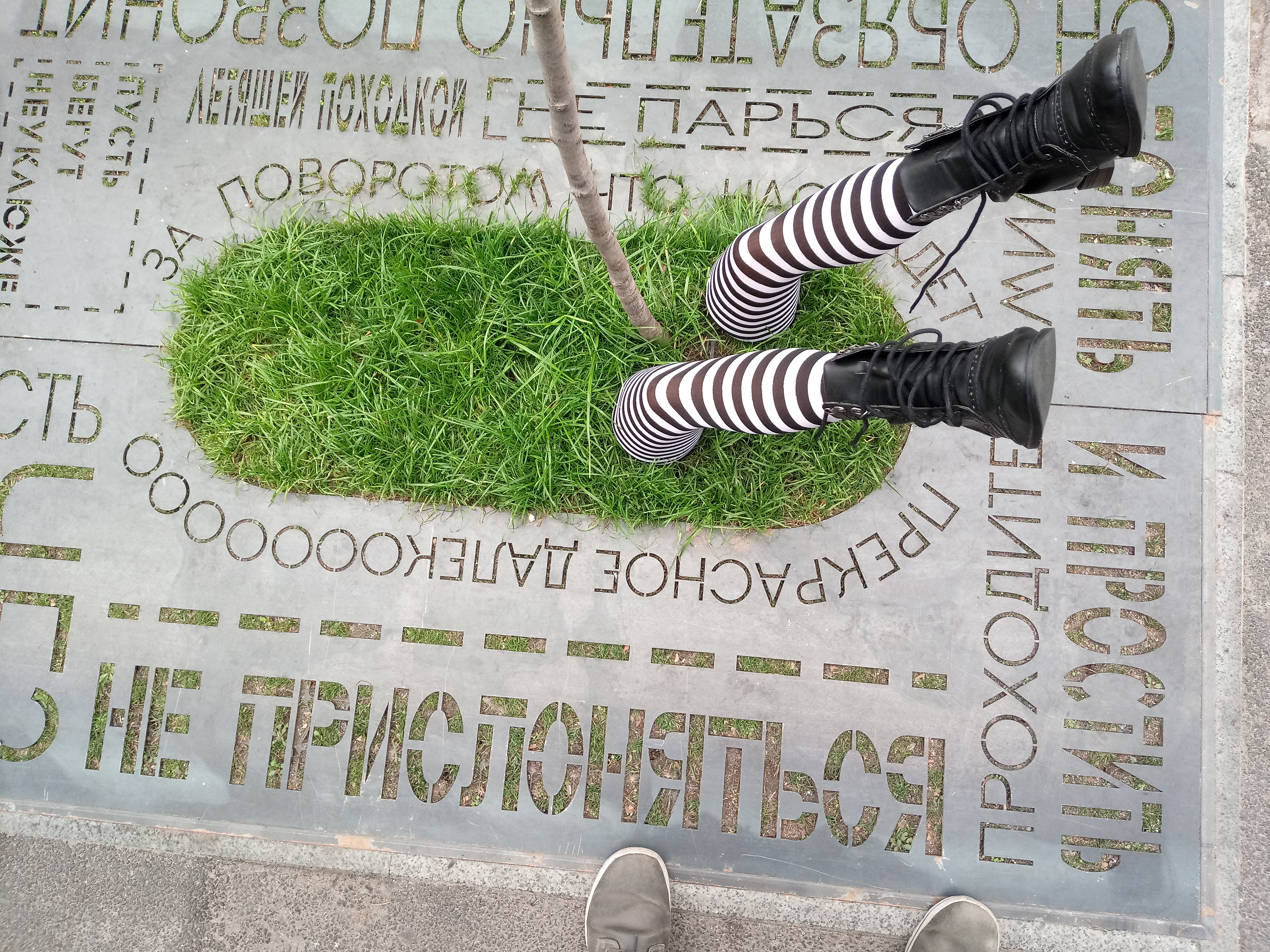 IMG_20181029_141648.jpg