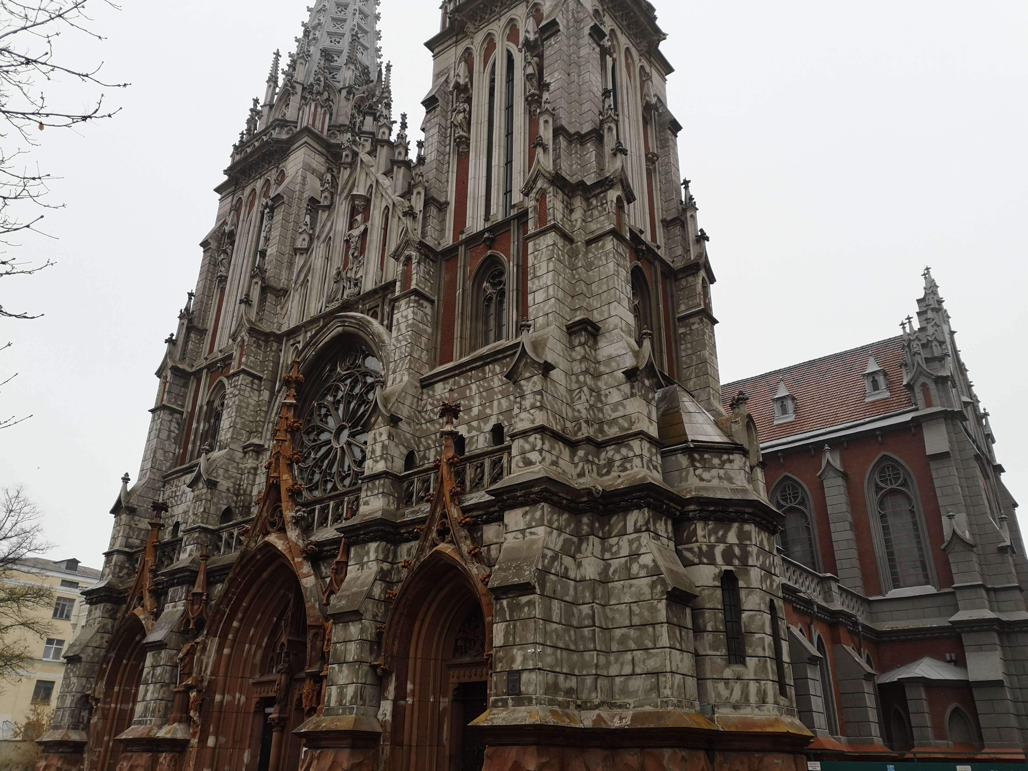IMG_20181030_082429.jpg