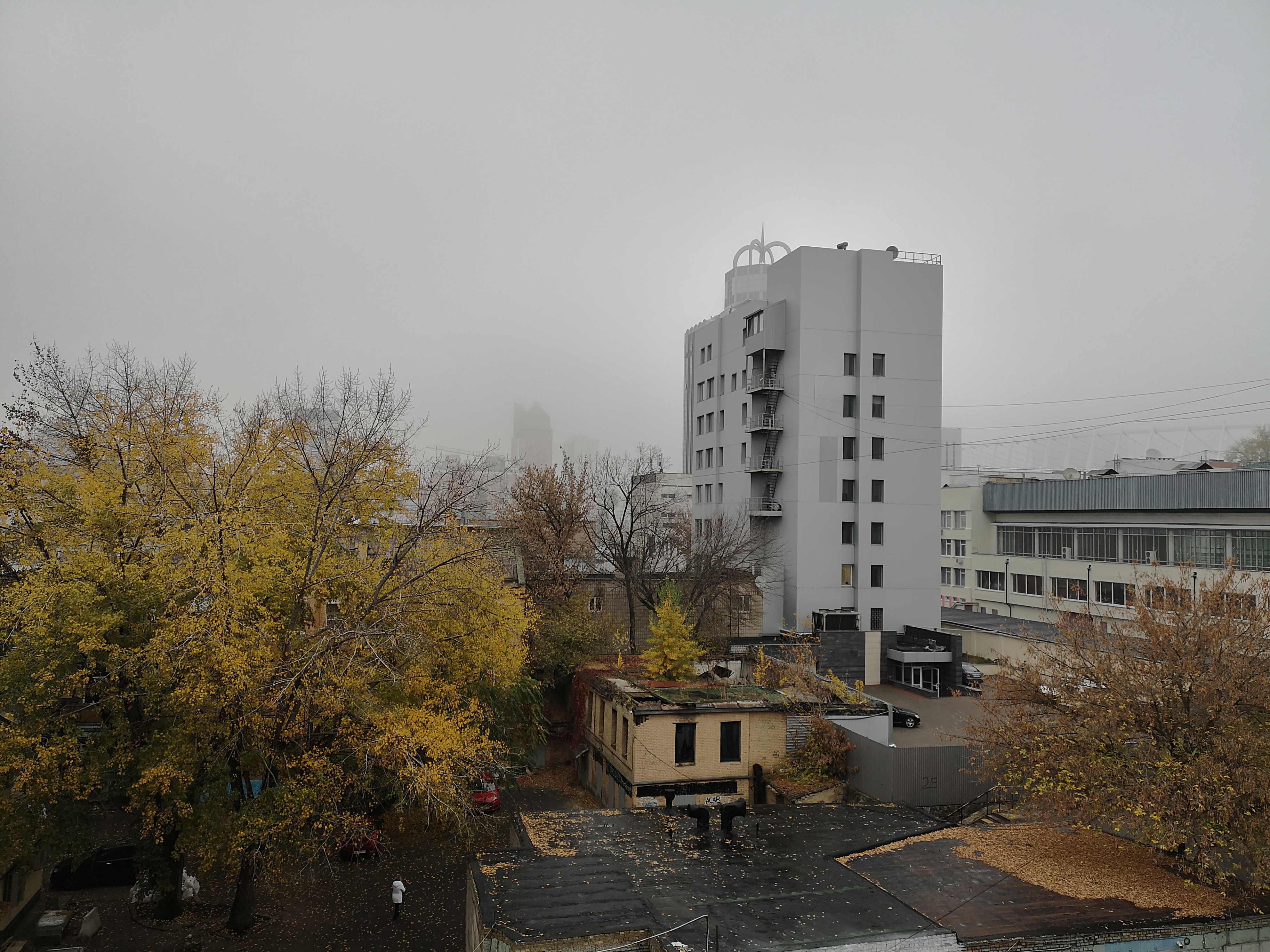 IMG_20181030_084538.jpg