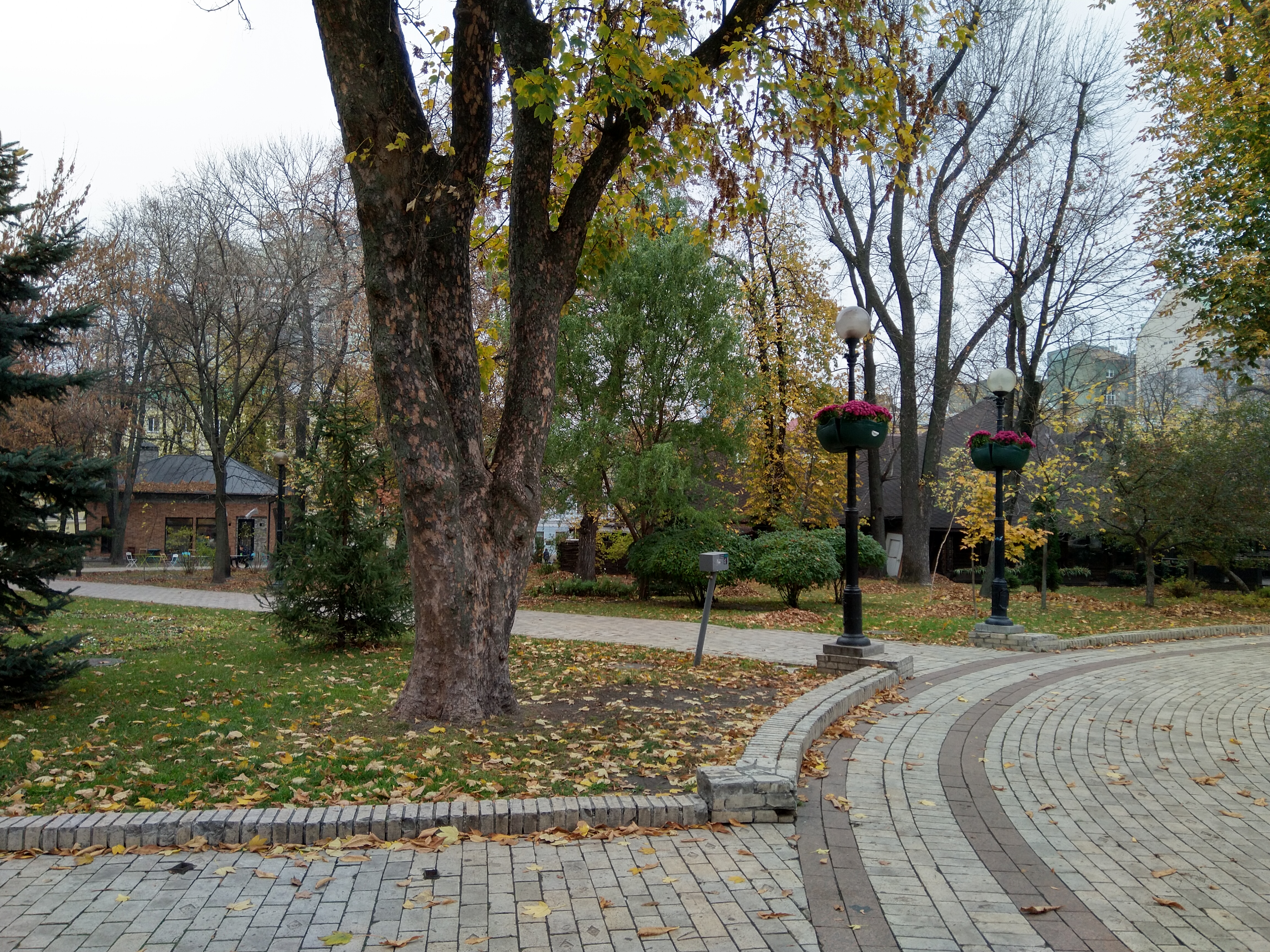 IMG_20181101_135715.jpg