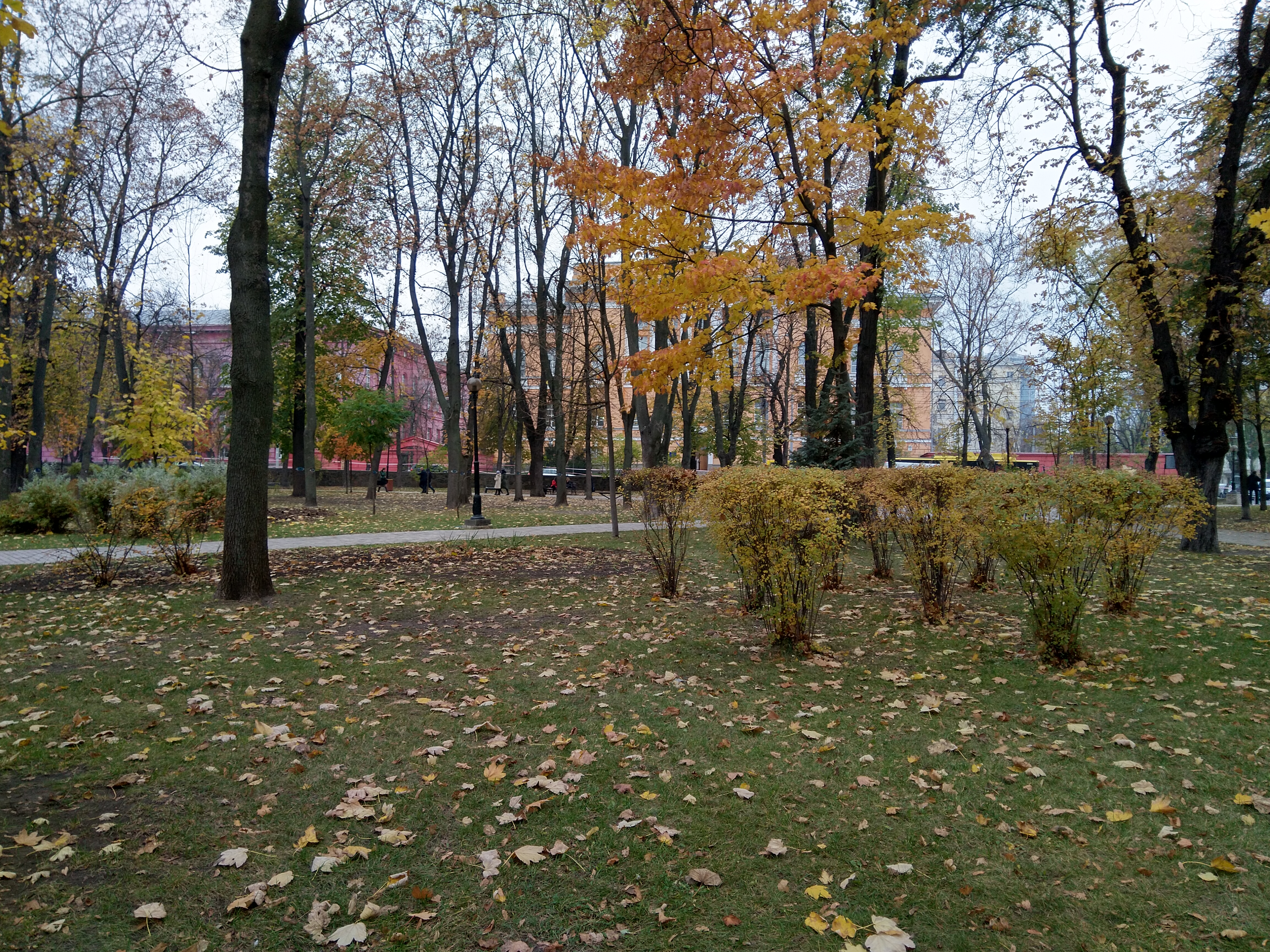IMG_20181101_135806.jpg