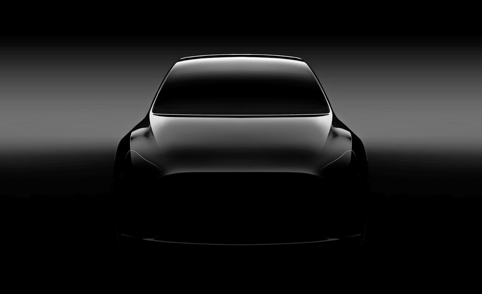 Model Y.jpeg