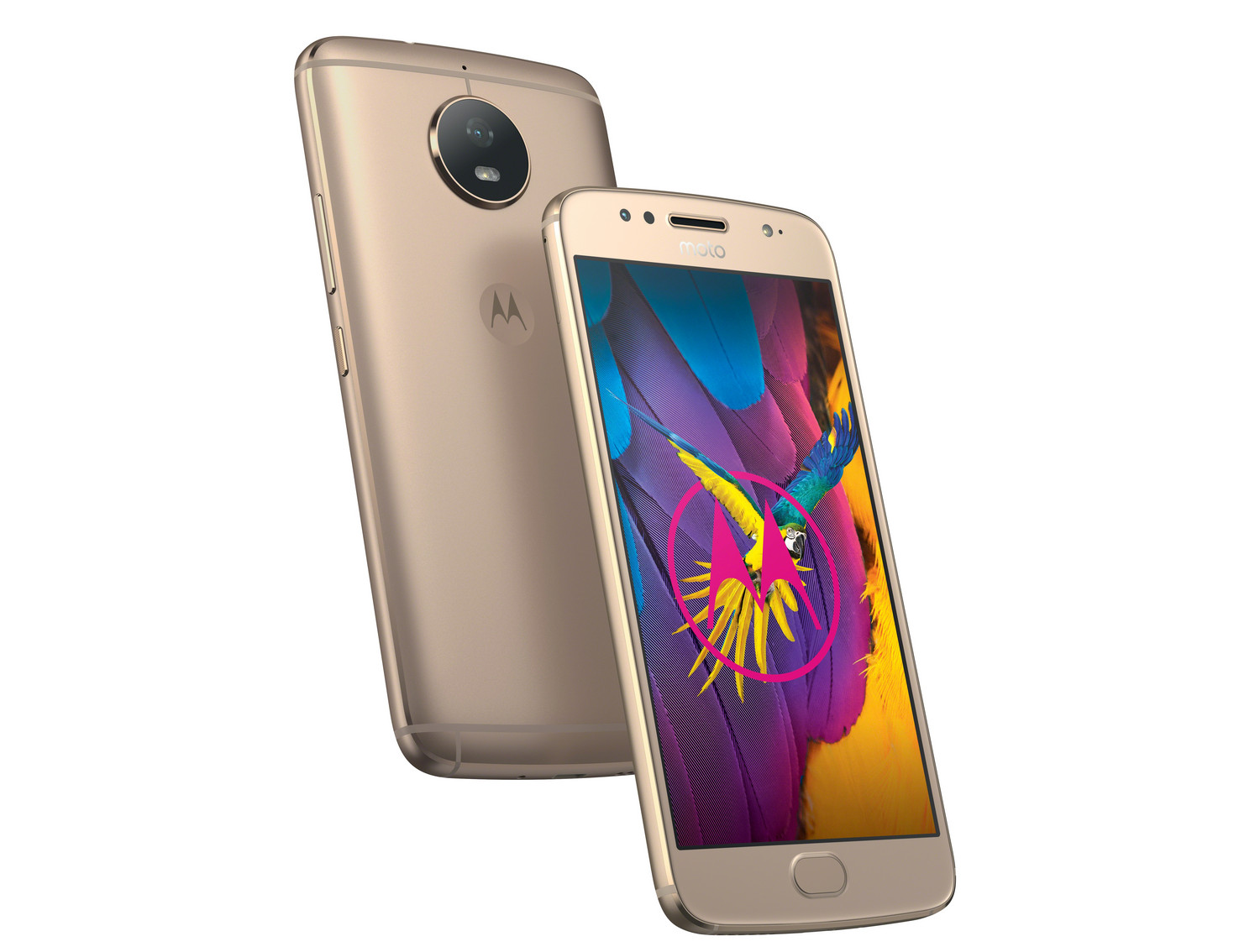 MotoG5S-1_cr.jpg