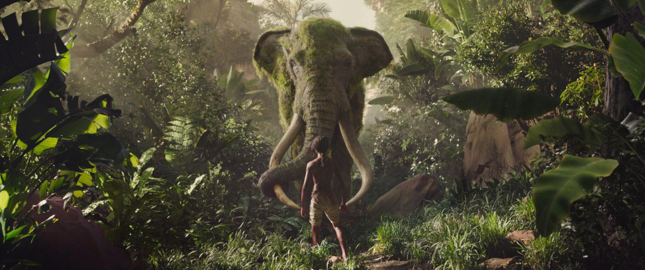 Mowgli 5.jpg