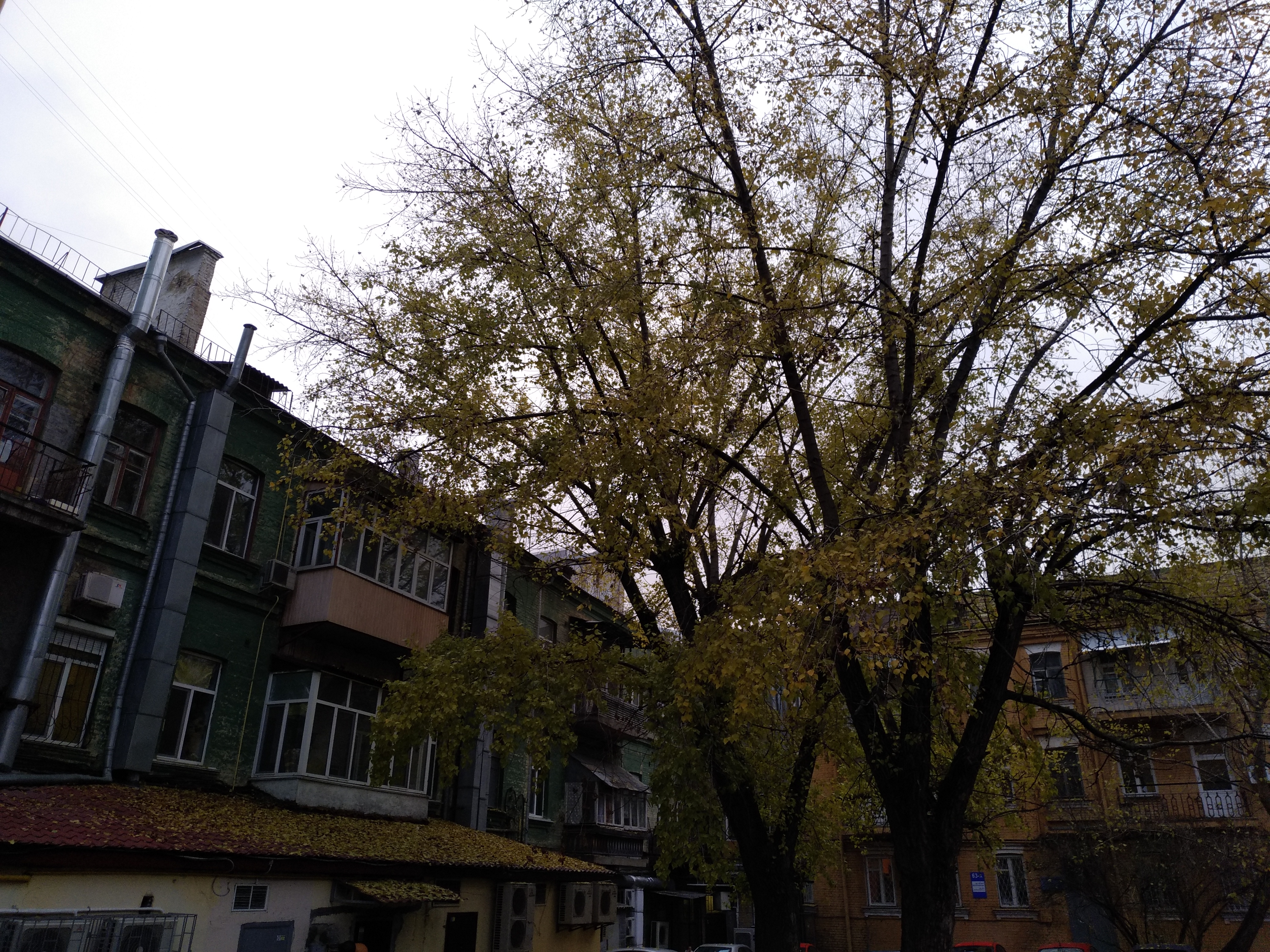P71109-141403.jpg