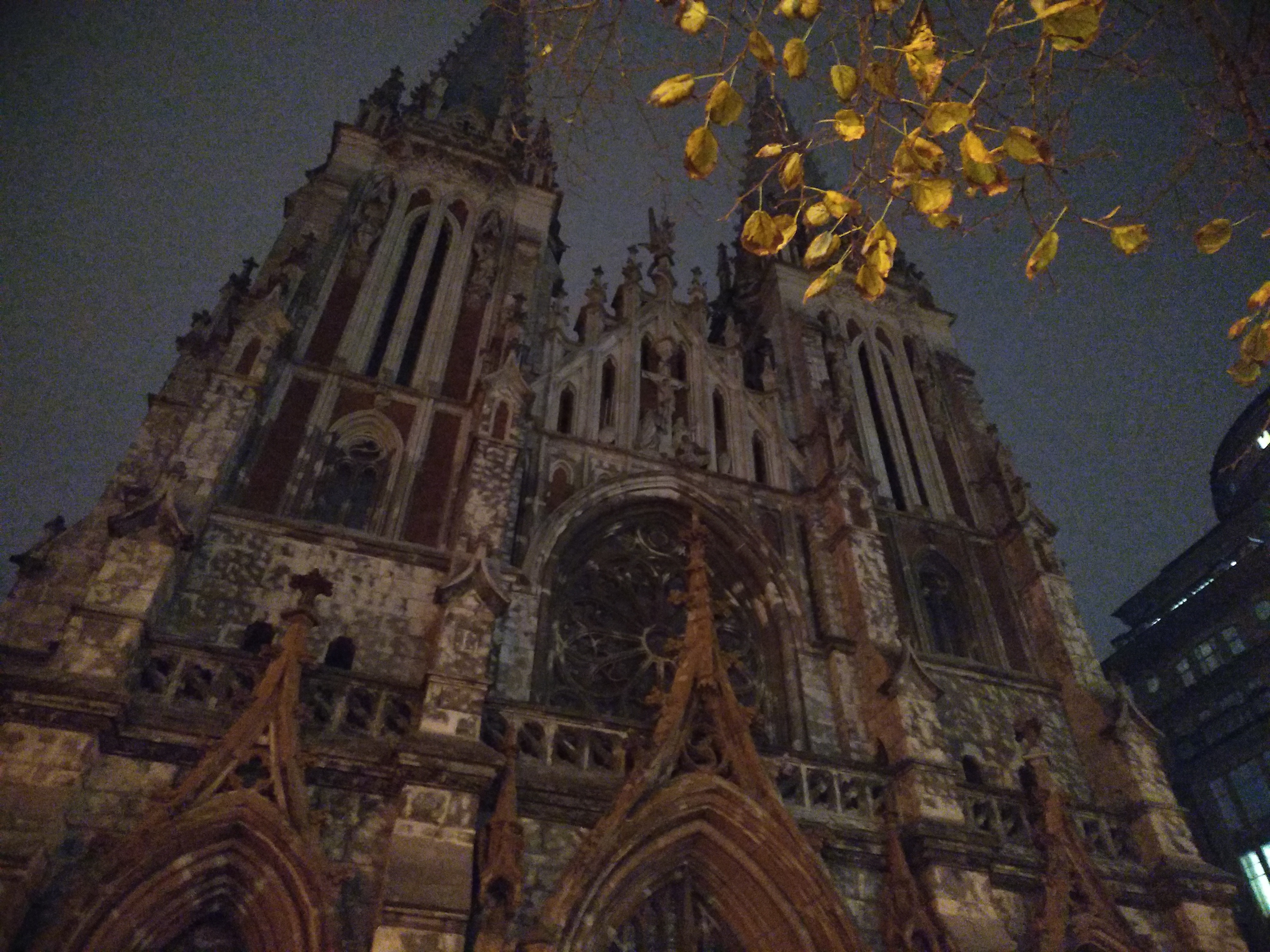 P71109-180151.jpg