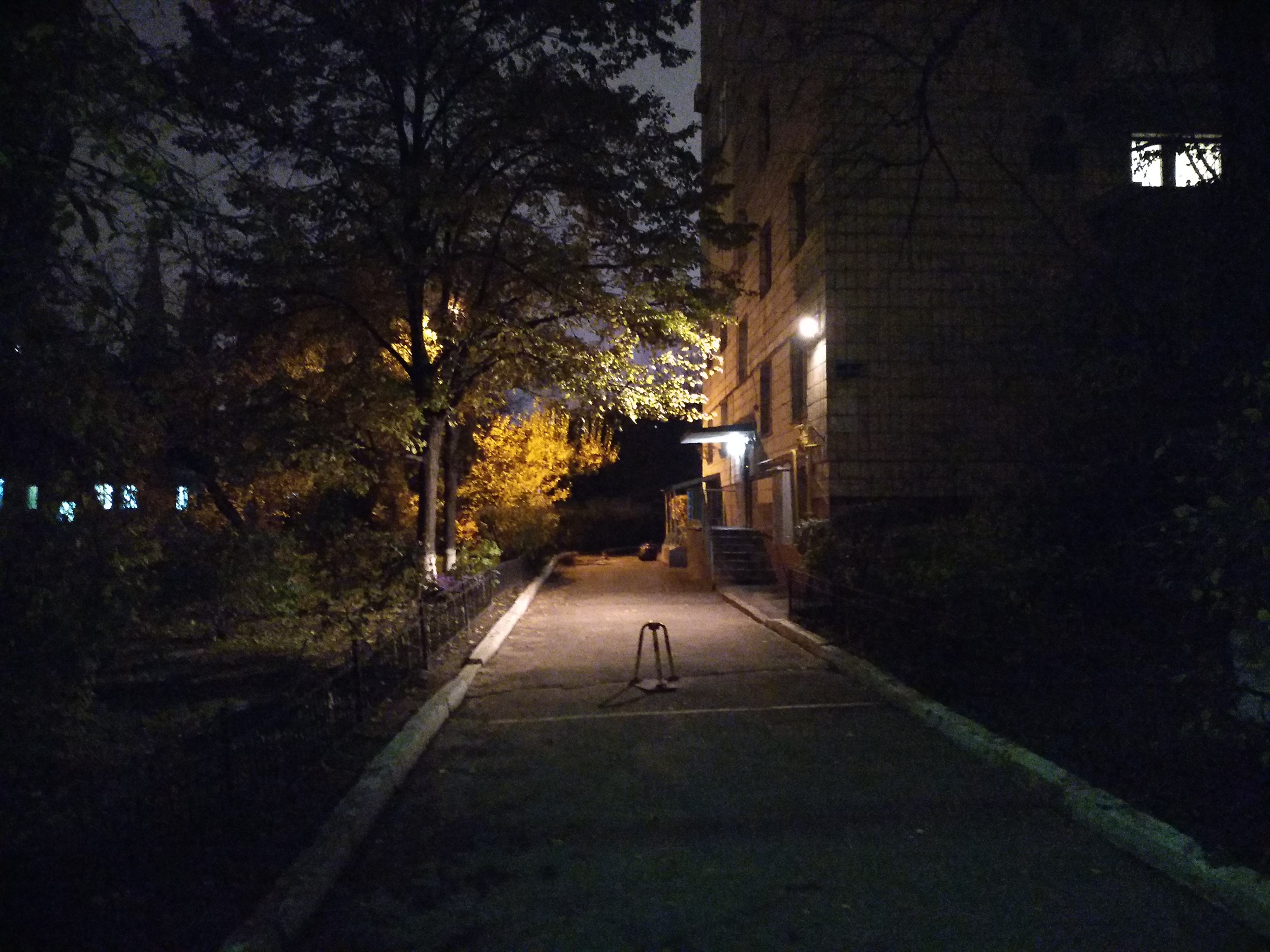 P71109-180520.jpg