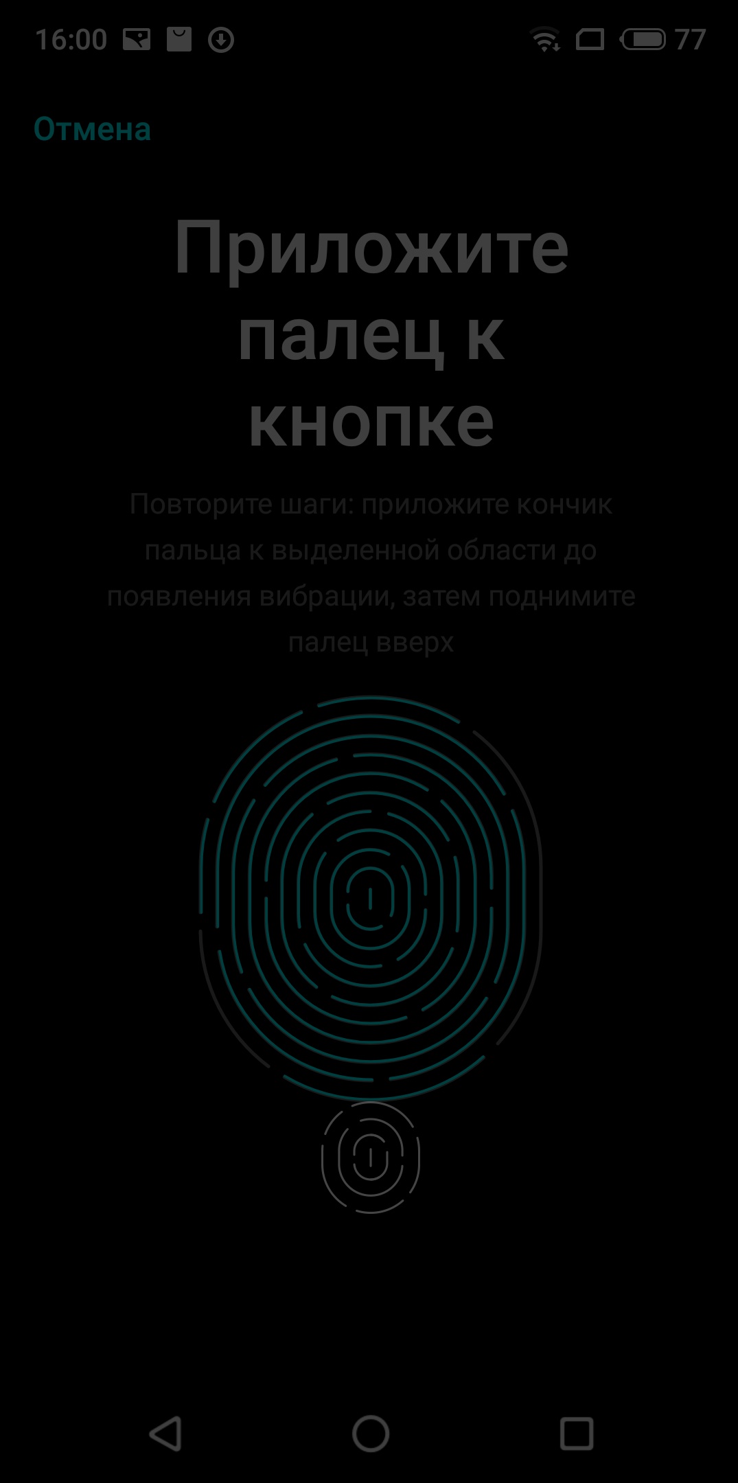 S81022-16002443.jpg