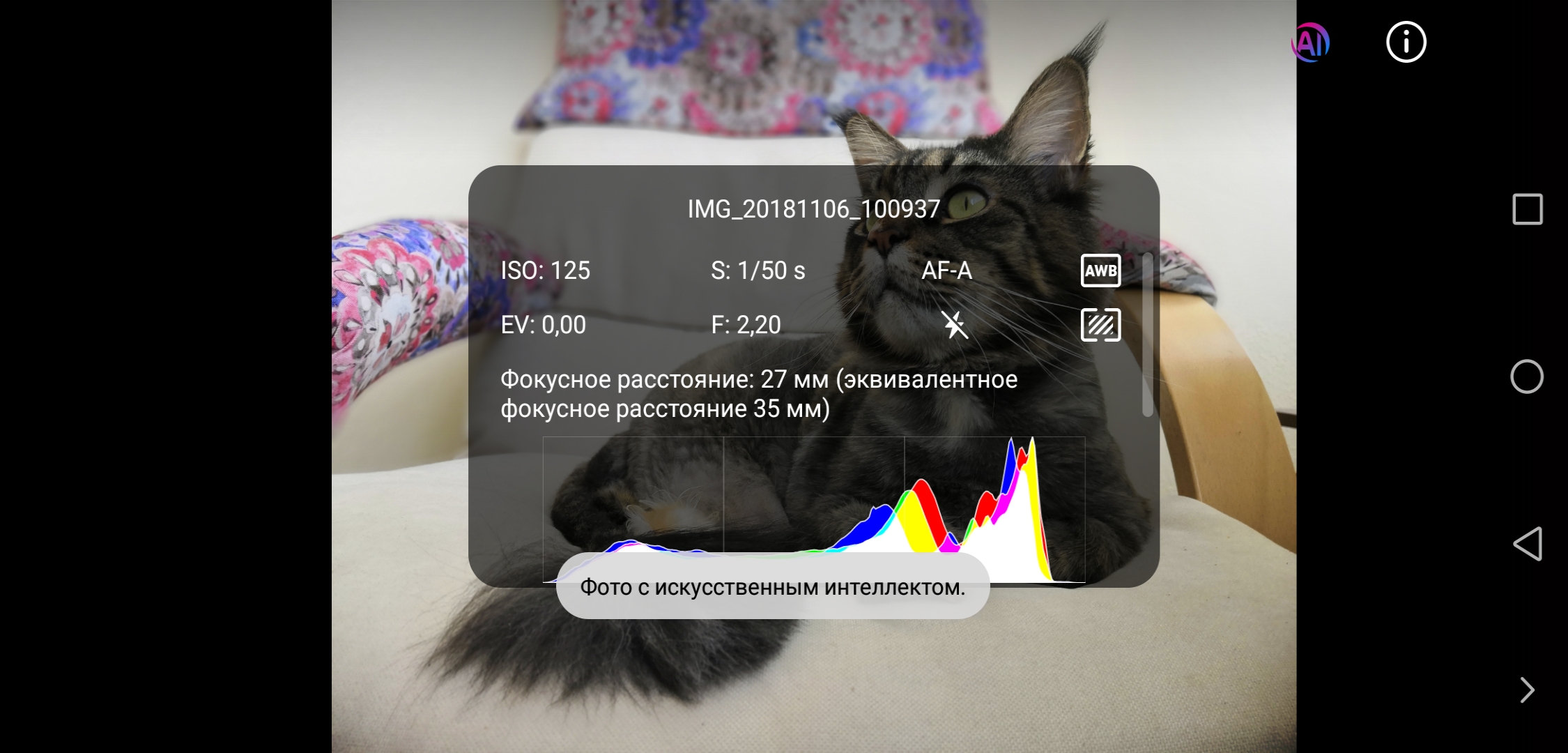 Screenshot_20181121-193657.jpg
