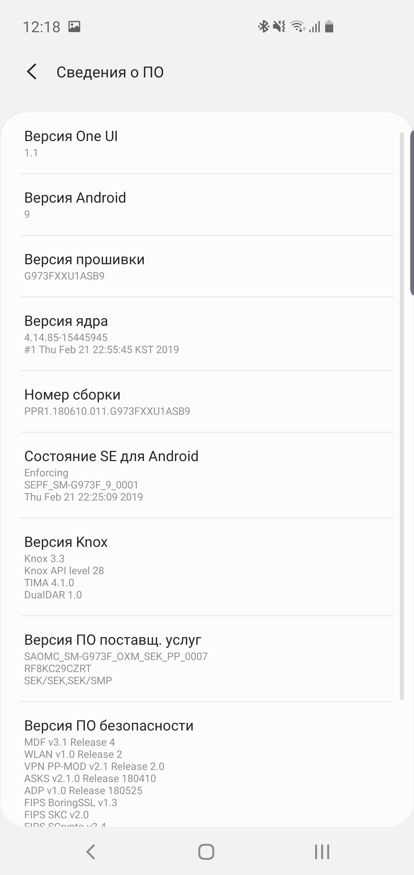 Огляд Samsung Galaxy S10: універсальний флагман «Все в одному»-18