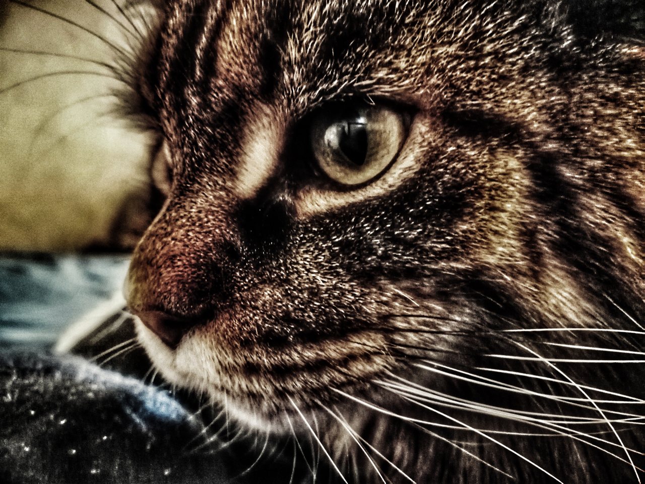 Snapseed_07.jpg