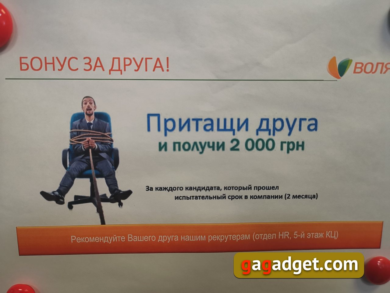 Volia_callcenter_17.jpg