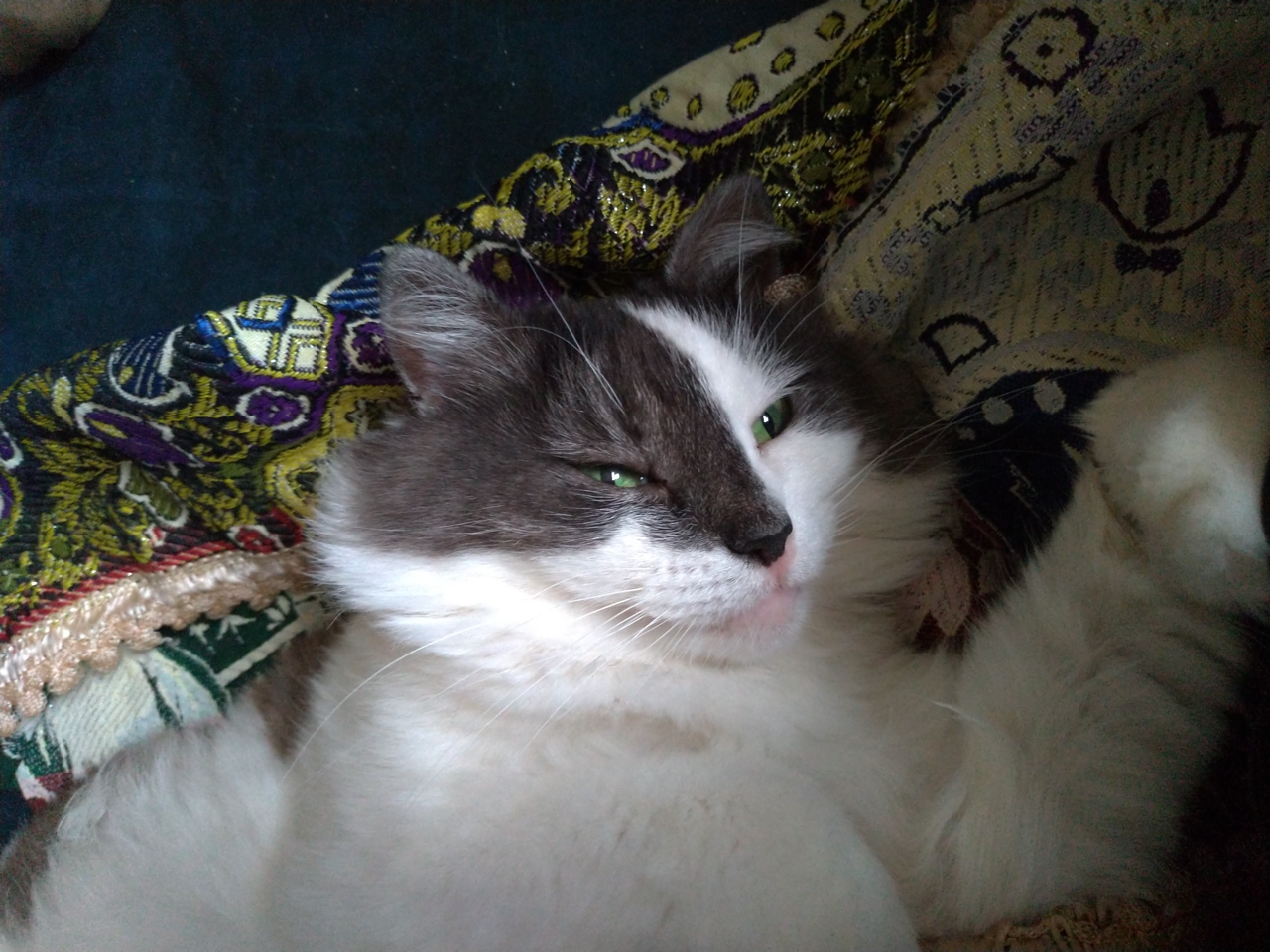 Zenfone_Camera_52.jpg