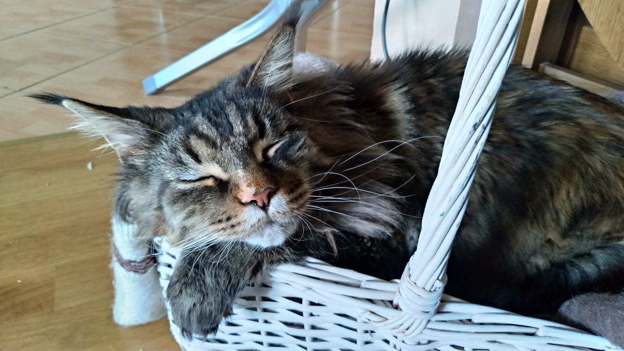 Zenfone_Camera_53.jpg