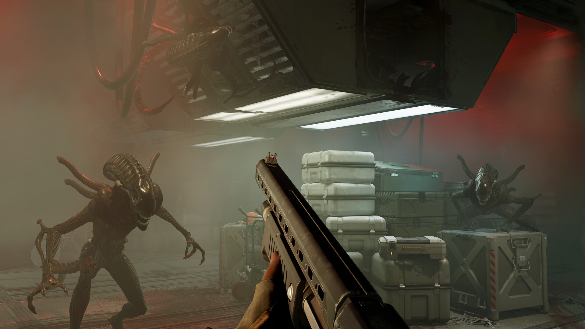 Battle scene in Alien: Rogue Incursion