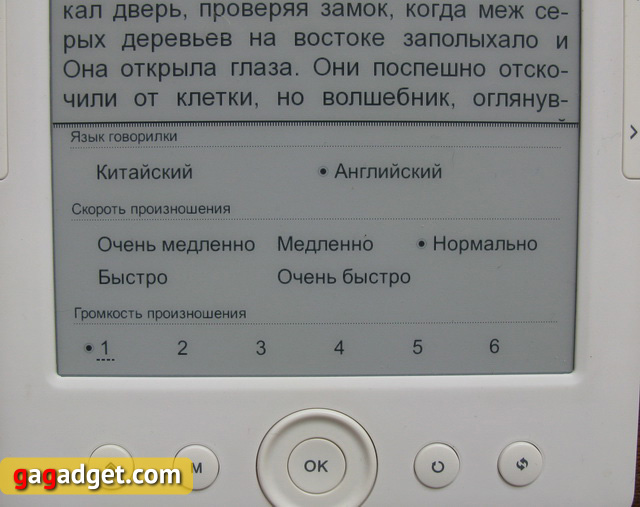 Обзор электронной книги AirOn AirBook City-15