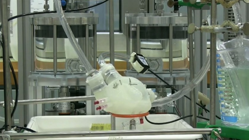 artificial-heart-zurich.jpg