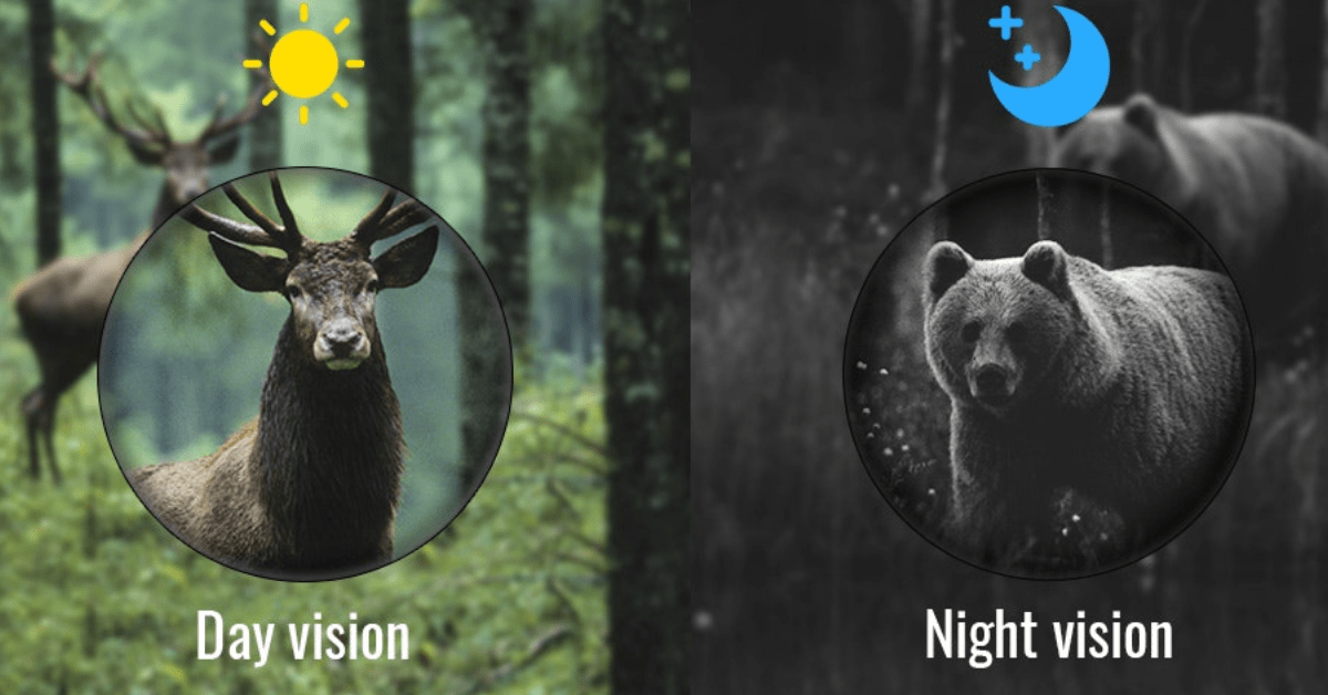 night vision monocular