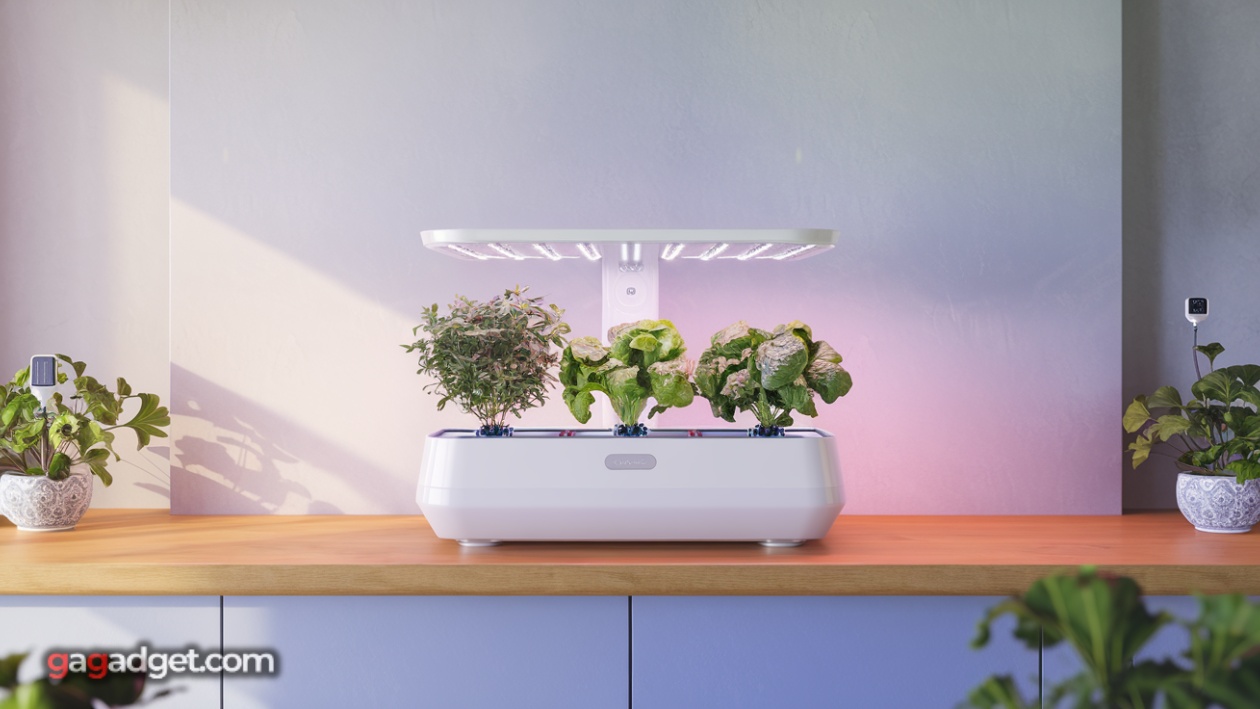 Smart Gadgets for Plant Parents in 2026