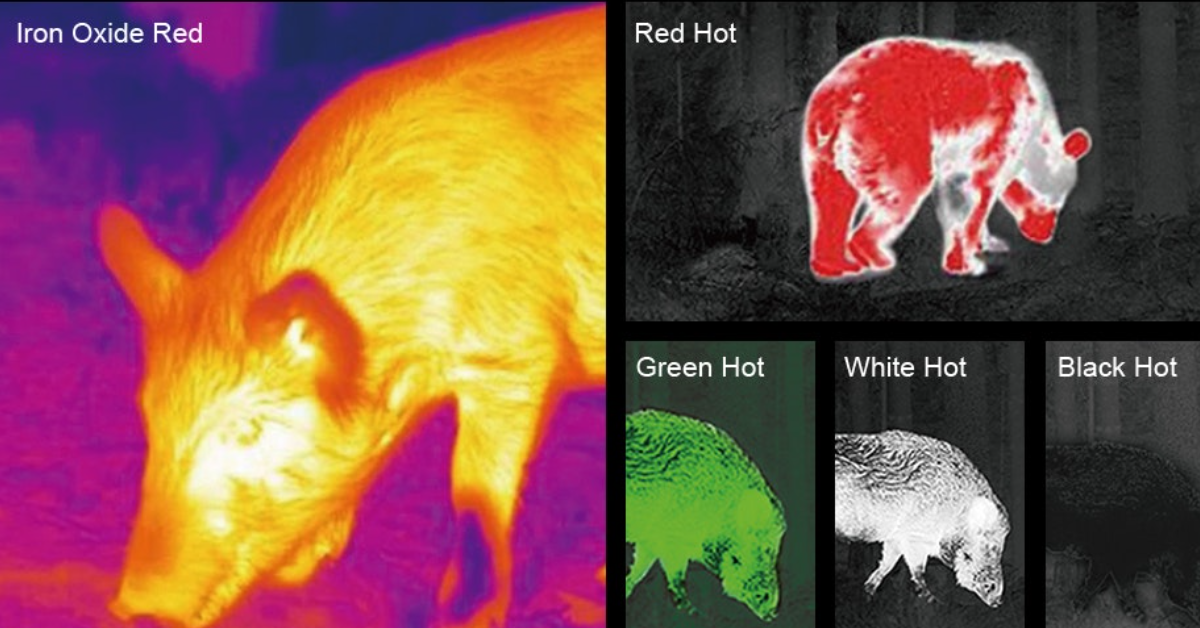 best thermal imaging monocular 2026