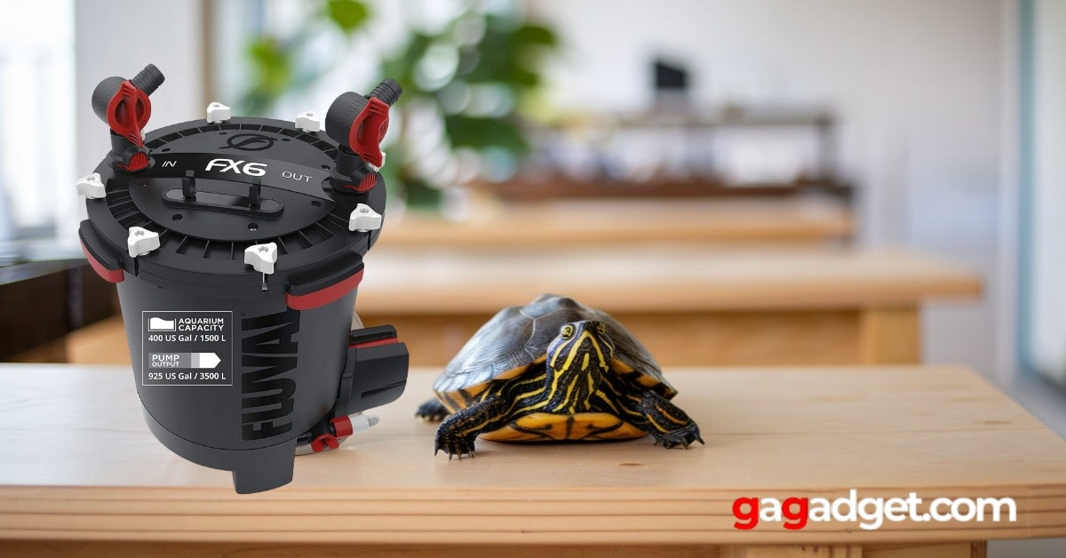 Best Aquarium Filter for Turtles.