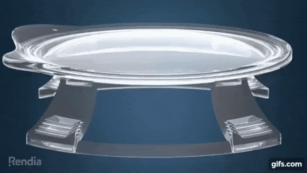 bionic-lens-how-it-works.gif