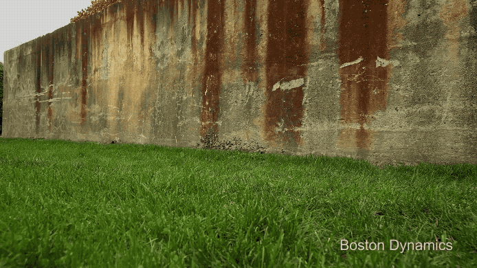 boston_dynamics_spot_mini_new_2017.gif
