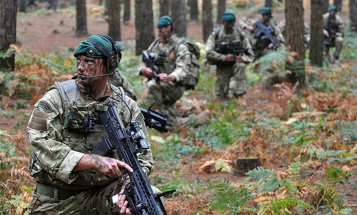 Illustrative image of the British military