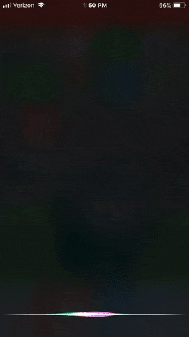 bulgarian-anthem-siri.gif