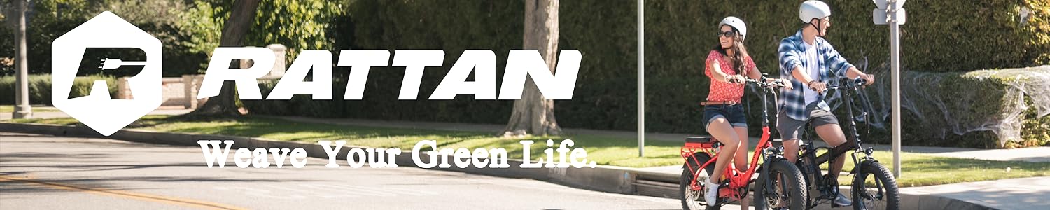 rattan bikes review