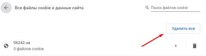 Удаление файлов cookies в Google Chrome