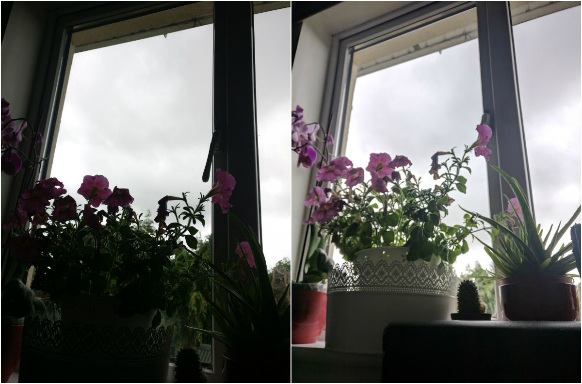 collage2.jpg