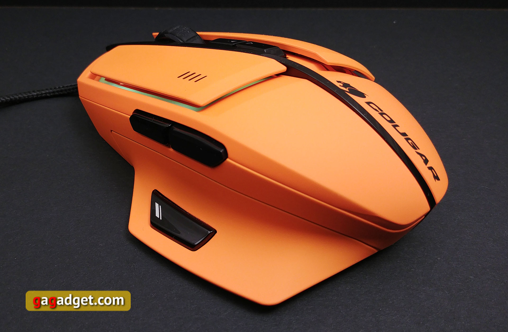 cougar-600m-14.jpg