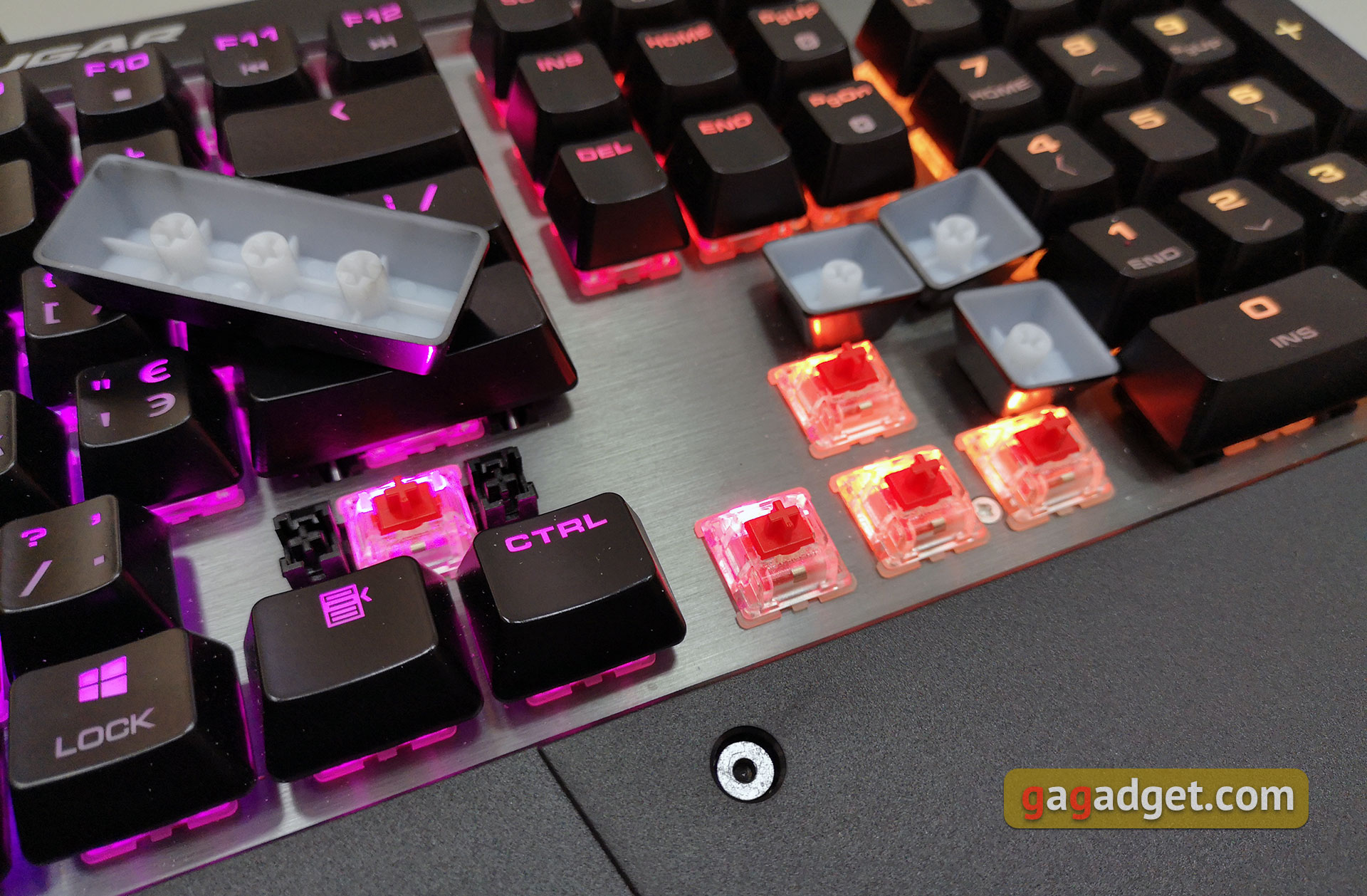 cougar-attack-x3-rgb-17.jpg