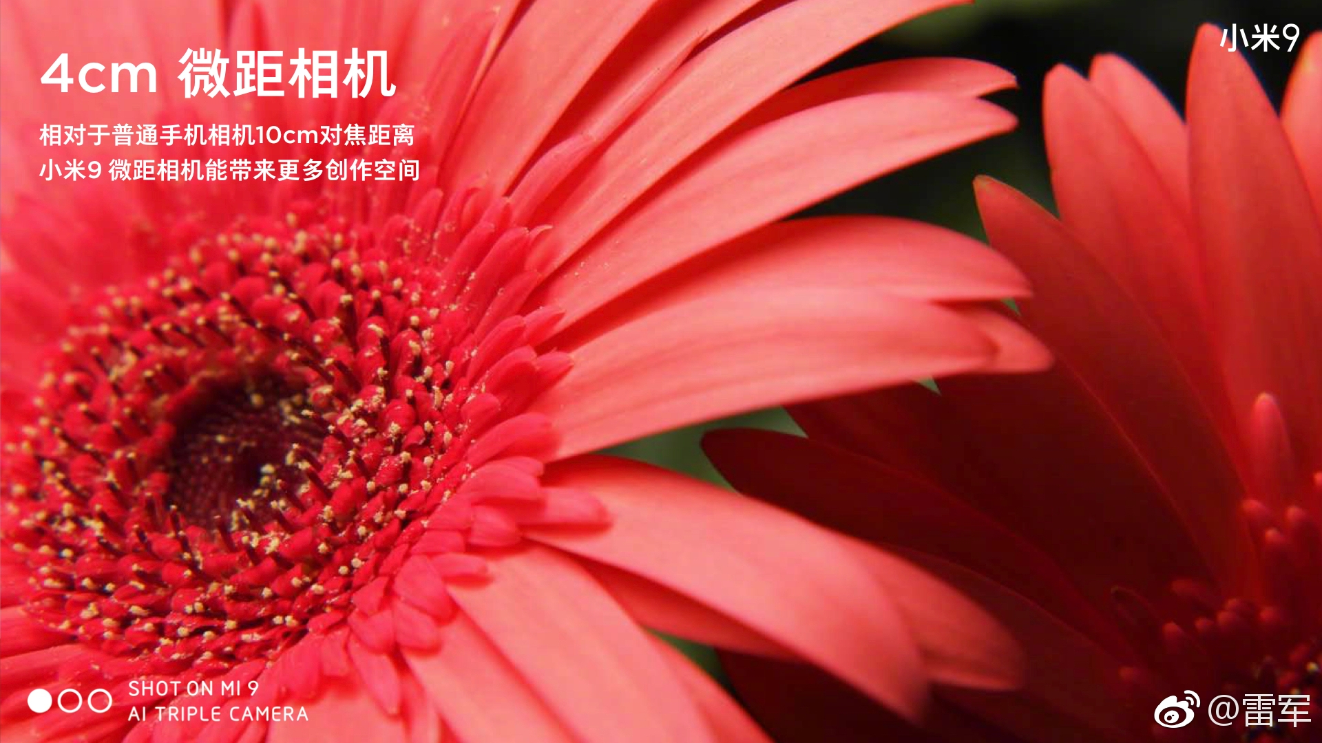 d9080a7bc5bd40fca8bee5bc980372cc.jpg