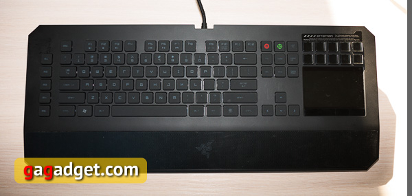 Razer Kraken Pro, Ouroboros, BlackWidow Tournament Edition и DeathStalker Ultimate своими глазами-5