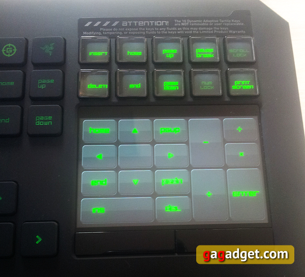 Razer Kraken Pro, Ouroboros, BlackWidow Tournament Edition и DeathStalker Ultimate своими глазами-6