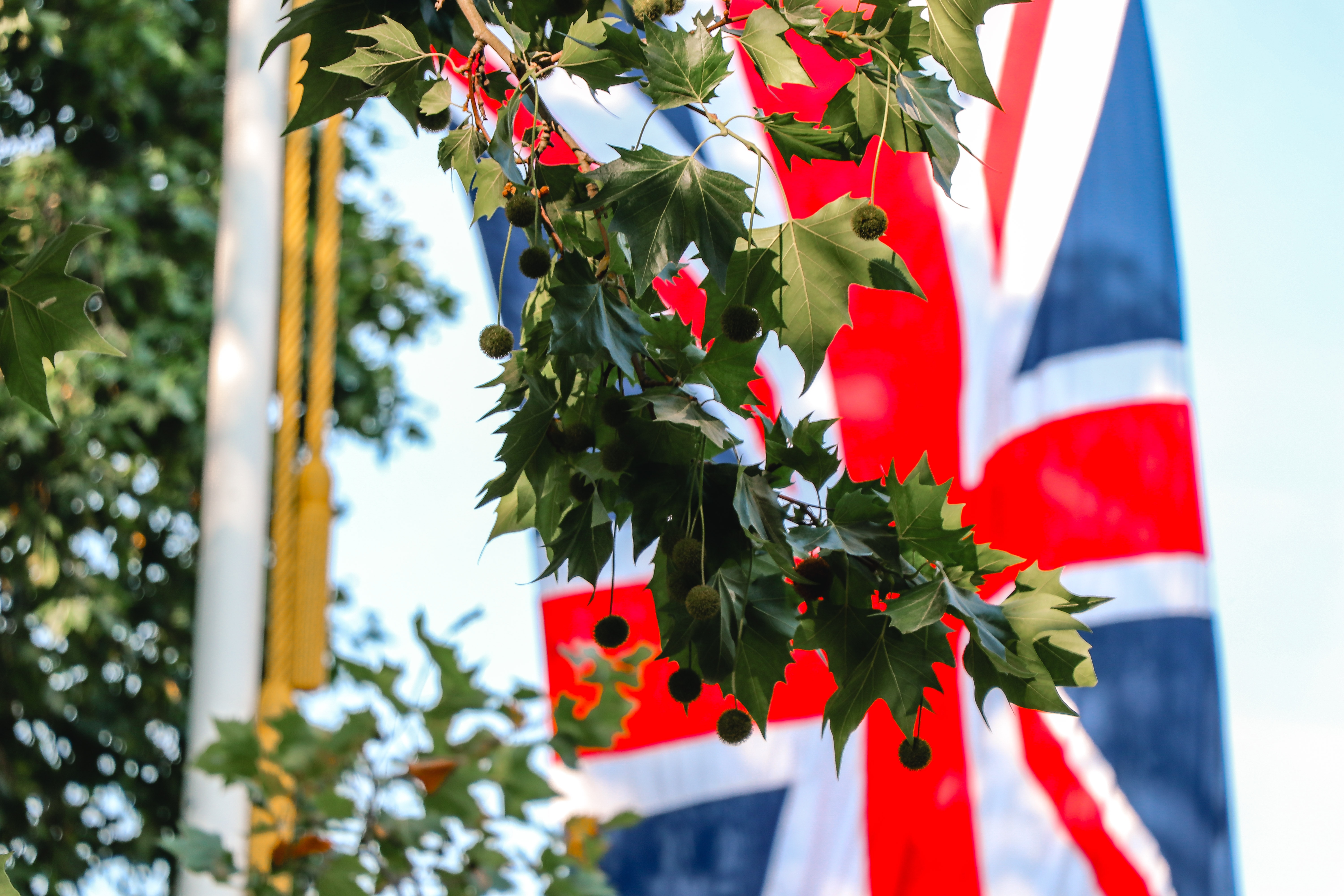 UK Supreme Court: artificial intelligence cannot be the inventor of a patent