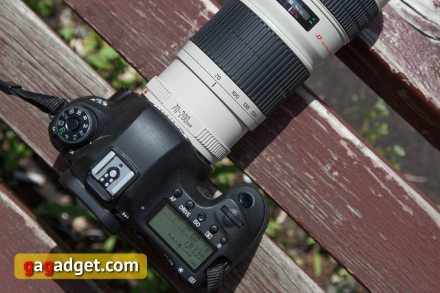 Народный «фулфрейм». Обзор полнокадровой цифровой фотокамеры Canon EOS 6D