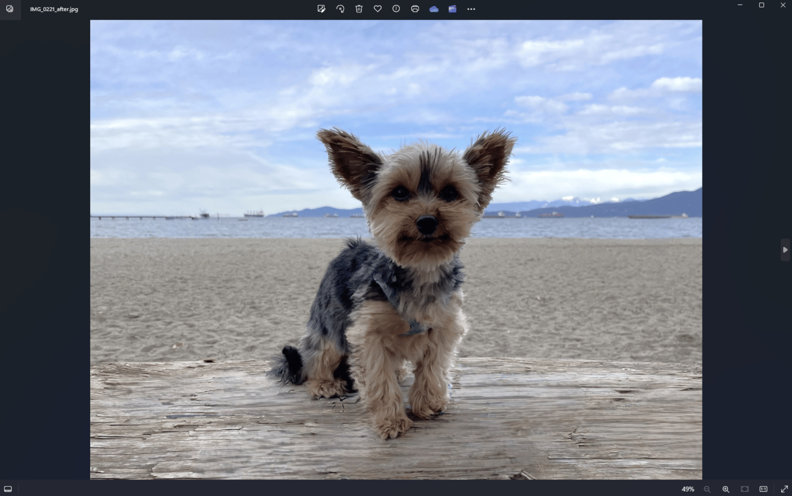 Microsoft ajoute à l'application Windows Photos un outil d'effacement d'objets génératif alimenté par l'IA-2