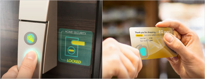 fingerprint sensor.jpg
