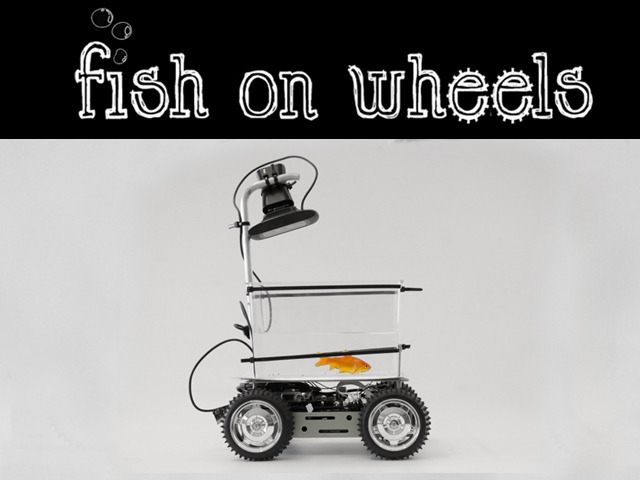 Fish on Wheels: самостоятельно передвигающийся по квартире аквариум