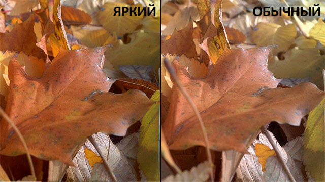 Обзор защищенного фотоаппарата Genius G-Shot 510-10