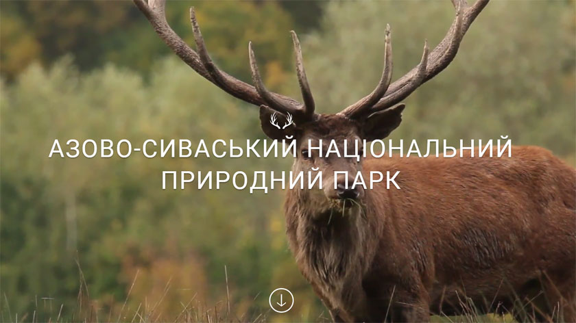 Googlegram: интерактивные туры по достопримечательностям и заповедникам Херсонщины